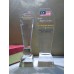 Cup Award Crystal 1